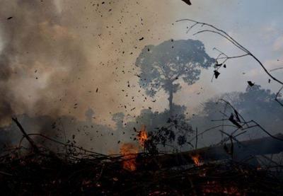 2 mil pessoas foram internadas durante queimadas na Amazônia em 2019, diz pesquisa