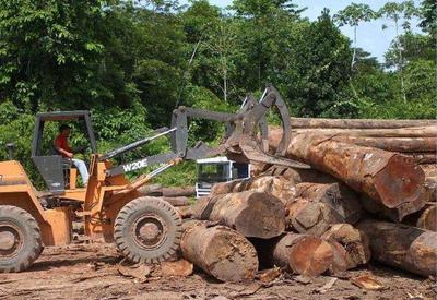Desmatamento na Amazônia cresce 23% e atinge unidades de conservação