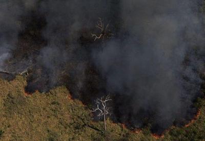 Operação do governo combateu mais de 5,5 mil incêndios florestais em agosto