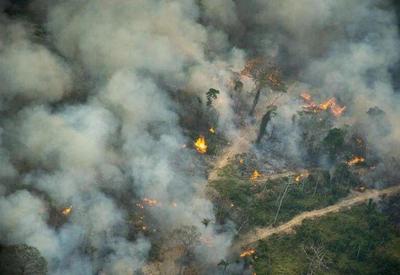 Amazônia registra 12 mil focos de calor em apenas 4 dias de setembro