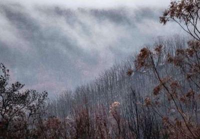 Após 240 dias, estado de New South Wales na Austrália está sem registros de incêndios florestais