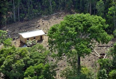 Queimadas na Amazônia Legal sobem 49% em maio
