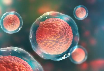 Cientistas estudam eficácia de células-tronco contra Covid-19