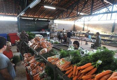 Condições climáticas adversas têm impactado alimentação dos brasileiros