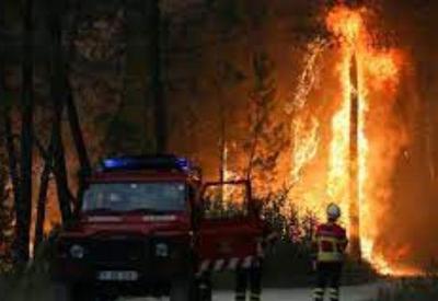Incêndios florestais na Europa: 12 mil pessoas fora de suas casas
