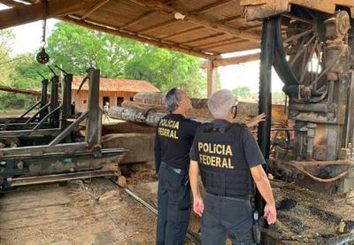 Força-tarefa combate atuação de madeireiras ilegais no interior do Pará