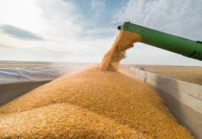 Produção agrícola para 2022 tem cenário positivo, aponta Ipea
