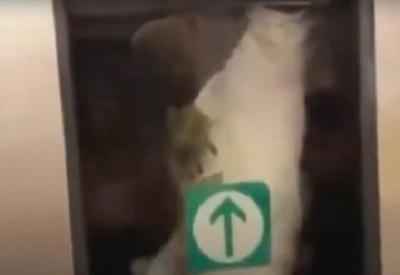 Vídeo: homem viaja pendurado para fora de trem no RJ