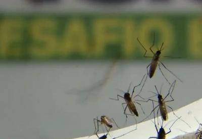 Dengue: Procura por testes rápidos cresceu 700% nos últimos 3 meses