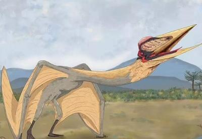 Dragão da Morte, antigo réptil voador, é descoberto na Argentina