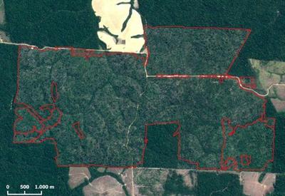 Desmatamento no Pará chega a quase 4 mil km² nos últimos 12 meses