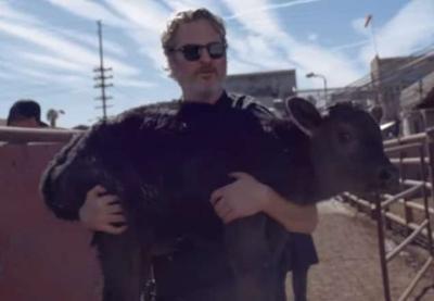 Joaquin Phoenix, o "Coringa", salva vaca e bezerra de matadouro; veja