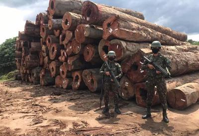 Forças Armadas apreendem duas balsas com madeira de extração ilegal