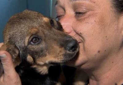 No Dia Mundial dos Animais, campanha de doação busca ajudar os abandonados