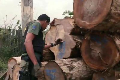 PM retira apoio às ações de combate ao desmatamento ilegal no Pará