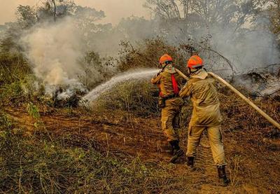 Pantanal atinge recorde de focos de incêndio em setembro