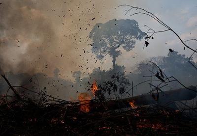 Pará teve mais de 7 mil focos de incêndios registrados em agosto