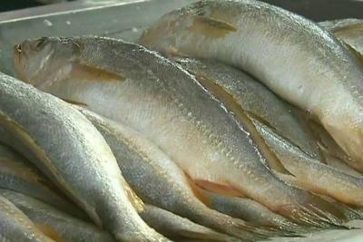 Sob efeito da Semana Santa, peixe fica mais caro no maior mercado de Belém