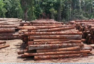 Maior desmatador da Amazônia é preso no Pará
