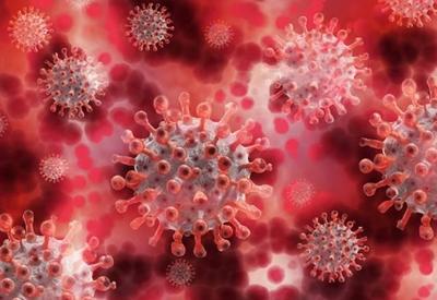 Instituto baiano investiga reinfecção com mutação do coronavírus