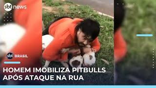 Homem usa técnicas de muay thai para conter dois pitbulls em ataque | #SBTBrasil 