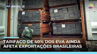 Setor madeireiro sofre com tarifa de 40% e teme perdas nos EUA