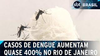 Casos de dengue aumentam quase 400% em um ano no Rio de Janeiro | SBT Brasil (07/01/25)