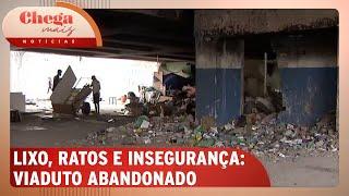 Viaduto segue com acumulo de lixo e risco de incêndio após denúncia | Chega Mais Notícias (22/11/24)