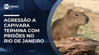 Homens são presos por agredir capivara no Rio de Janeiro | #NewsSábado