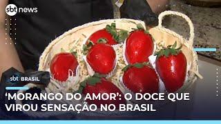 ‘Morango do Amor’ vira sucesso nas redes e dispara procura por fruta | #SBTBrasil