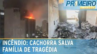 Cachorra salva família de incêndio em prédio sem extintor | Primeiro Impacto (20/03/25)