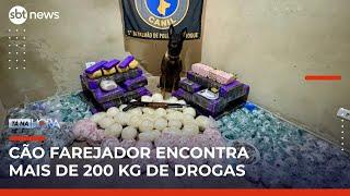 Cão farejador ajuda PM a apreender drogas e armas na zona oeste de São Paulo | #TanaHora