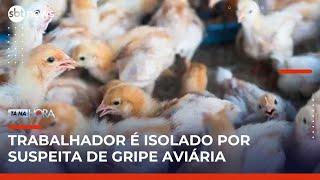 Gripe aviária: trabalhador é isolado por apresentar sintomas da doença no RS | Tá na Hora (20/05/25)