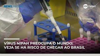 Surto de vírus Nipah na Índia acende alerta sanitário global; entenda | #NewsManhã