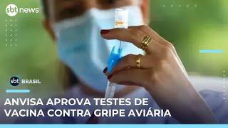 Vacina contra gripe aviária: Anvisa aprova início de testes em humanos | #SBTBrasil 