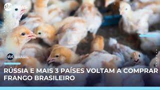 Brasil retomará exportações se atingir 28 dias sem casos de gripe aviária | SBT Brasil (22/05/25)