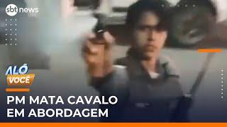 Cavalo morre baleado por policial e dono é preso após abordagem | #AloVoce