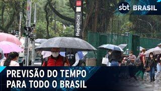 Chuva deixa toda a cidade de São Paulo em atenção para alagamentos  | SBT Brasil (06/11/24)