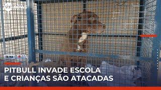 Pitbull invade escola e crianças são atacadas no Rio de Janeiro | Tá na Hora (22/05/25)