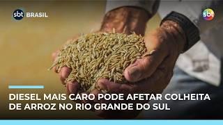 Alta do diesel preocupa produtores e ameaça colheita de arroz no Rio Grande do Sul 