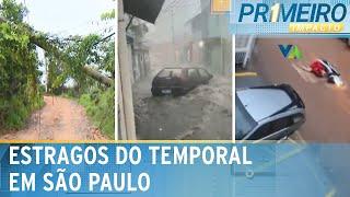 Temporal provoca caos em SP: poste caído e motociclista arrastado | Primeiro Impacto (29/11/24)