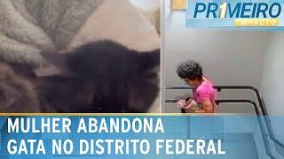 Mulher pega gata em escada e põe para fora de condomínio no DF | Primeiro Impacto (16/12/24)