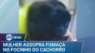Maus-tratos: Mulher assopra fumaça de maconha no focinho de cachorro | #SBTNews (15/03/25)