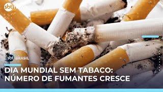 Brasil acende alerta após aumento de fumantes adultos pela 1ª vez em 17 anos | SBT Brasil (31/05/25)