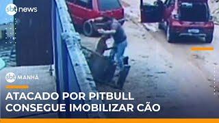 Pitbull ataca homem e vítima usa cadeira para se defender | #SBTManhã