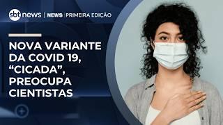 Nova variante da Covid, “Cicada”, acende alerta entre cientistas | #NewsPrimeiraEdição