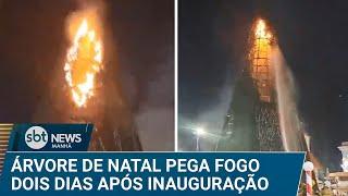 Incêndio atinge árvore de Natal na praça do Palácio Rio Branco, no Acre | #SBTNews Manhã (18/12/24)