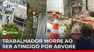 Funcionário morre atingido por galho durante poda em São Bernardo do Campo (SP) | #SBTNotícias