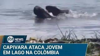 Adolescente é atacada por capivara em lago na Colômbia | #SBTNews Manhã (13/01/25)