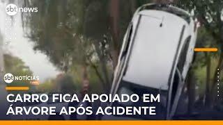 Motorista perde controle após batida e carro sobe em árvore |  #SBTNotícias